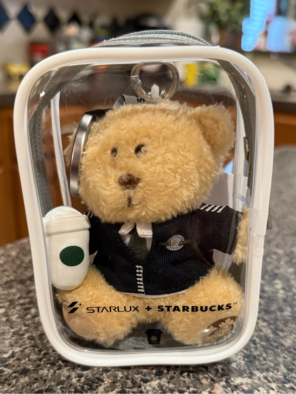 Starbucks + Starlux Taiwan Exclusive Avaition Captain Plush Bear Keychain -